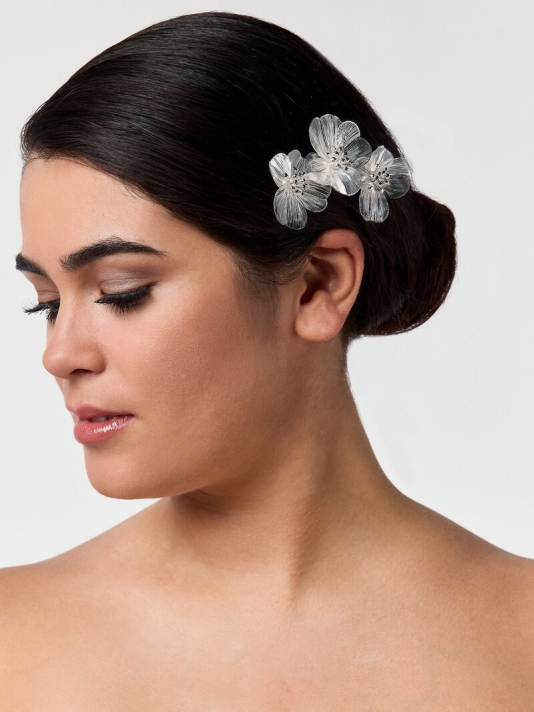 Poirier BB-75025 Hair comb Silver main product photo